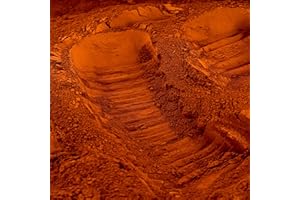 IBÉTON BY CYRIL CLAIRE Pigment Naturel Terre De Sienne Calcinée - Pour Peinture, Enduits, Béton, Chaux - Poudre De Terre Colorante - Origine Europe - 1 Kg