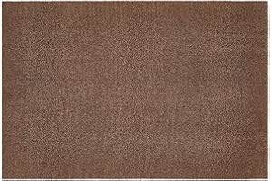‎ANDIAMO andiamo Fußmatte innen Samson – waschbare Schmutzfangmatte für den Innenbereich – rutschfeste & saugfähige Fußmatte aus Baumwolle, 60 x 100 cm cm, Braun