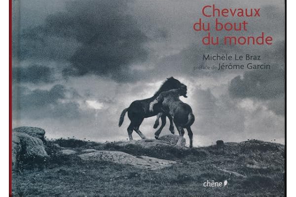 Chevaux du bout du monde (Ancien prix éditeur : 25 Euros)