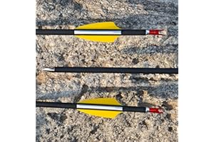 Poearcus Flecha de Tiro con Arco de Carbono Flecha de Tiro de 30-32 Pulgadas Flechas de práctica de Tiro al Blanco de 1000 Spine para Arco Compuesto/Arco Curvo 6/12pcs