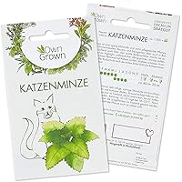 OwnGrown Katzenminze Samen für Katzen: Premium Katzenminze Saatgut (Nepeta cataria) für echte Katzenminze Pflanze – 150…
