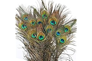 Belle Vous Natural Real Peacock Eye Feathers (20 Pack) - 78-80cm/30.7-31.49 Inches - Long Tail Feathers For Wedding, Party, Holiday and Home Decoration and DIY Craft