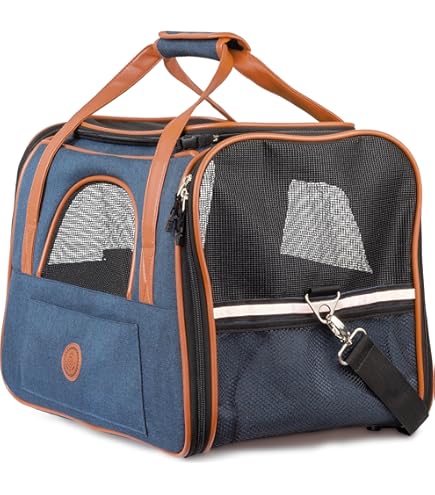 Paylamon Haustiertrage Für Katzen & Hunde - Zusammenklappbare Umhängetasche Für Reisen