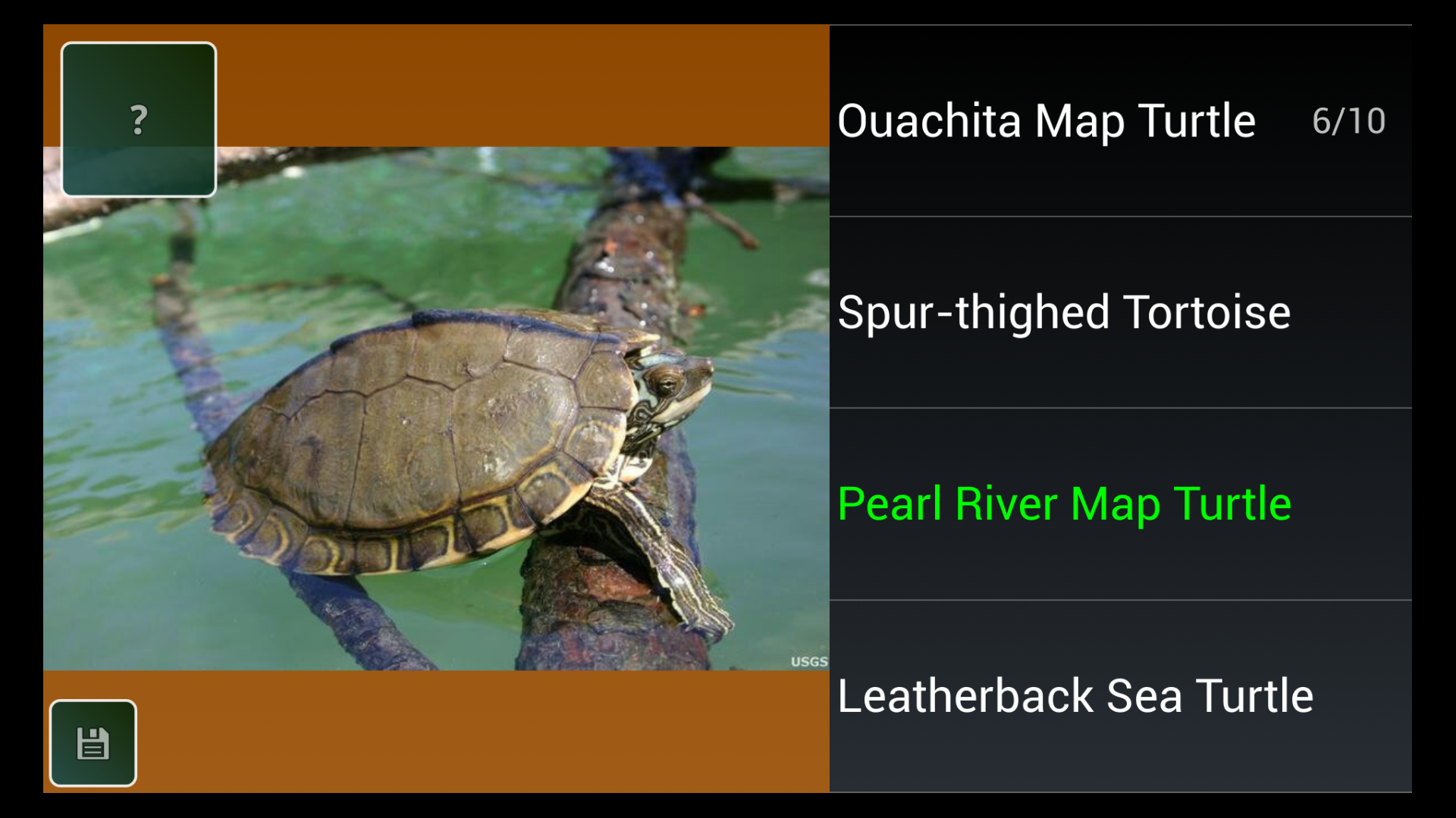 Reptile Species Trivia Quiz Amazon.co.uk Appstore for Android