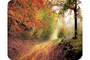 Autumn Delight - Glass Worktop Saver/Protector | Cutting Board - by Pearl Glass (50 x 40cm Large)