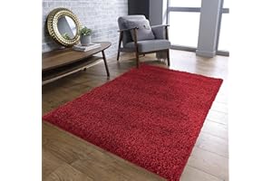 RUGS 4 SALE Rugs4Sale Vista 3cm Thick Pile Modern Luxurious Non-Shedding Traditional Shaggy rugs Ideal For Bedroom, Hall, Kids Baby Room, Indoor/Outdoor Rugs Runners Carpet mat(60x120cm)
