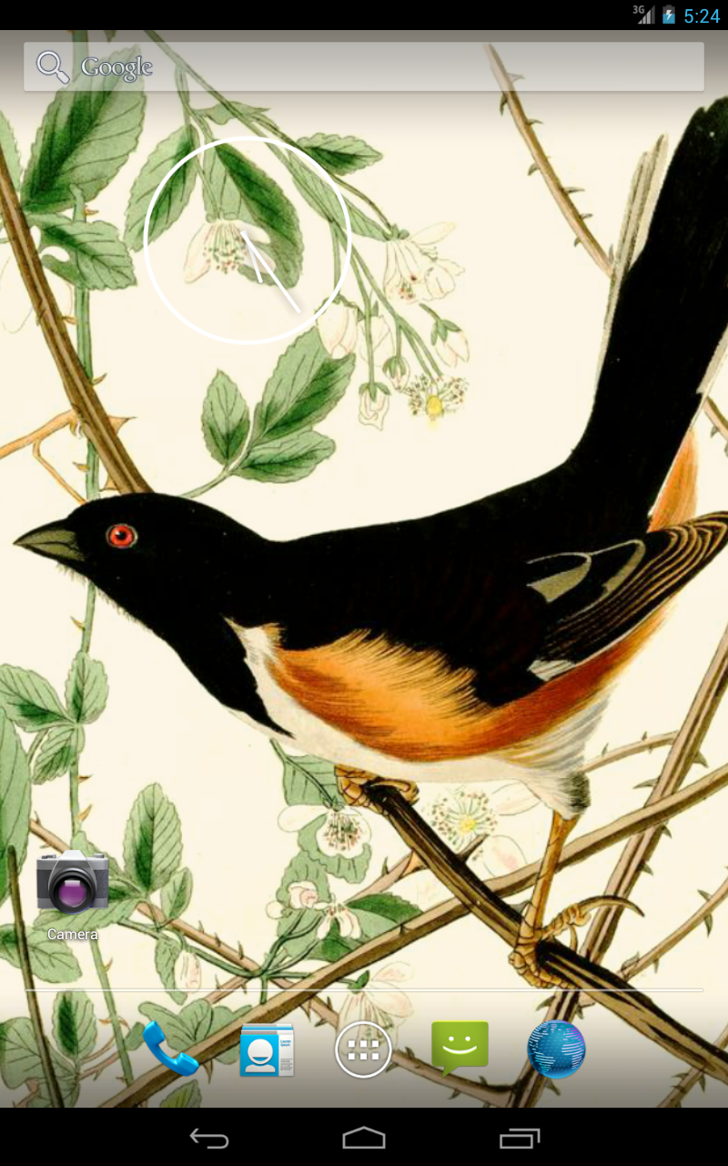 Audubon’s Birds of America Vol. 2 Live HD+ Wallpaper : Amazon.co.uk