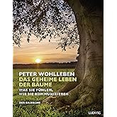 Das geheime Leben der Bäume: Was sie fühlen, wie sie kommunizieren. Der Bildband. Mit dem vollständigen Text der Originalausg