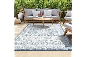 homeart Outdoor Rug - Easy-Clean, Durable, Stain-Resistant, Weather & UV Resistant Indoor & Outdoor Rugs for Porch, Deck, Balcony, Garden, Picnic and Patio | Vintage Blue, Cream - 120x170cm