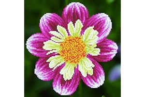 Diamond Dotz DD5-040 Gänseblümchen, ca. 30,5 x 30,5 cm groß, Diamond Painting, Malen mit Diamanten, funkelndes Bild zum Selbstgestalten, für Kinder und Erwachsene