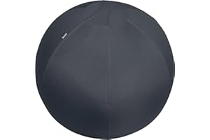 Leitz 65420089 Piłka do Siedzenia, Czarny, 65 cm