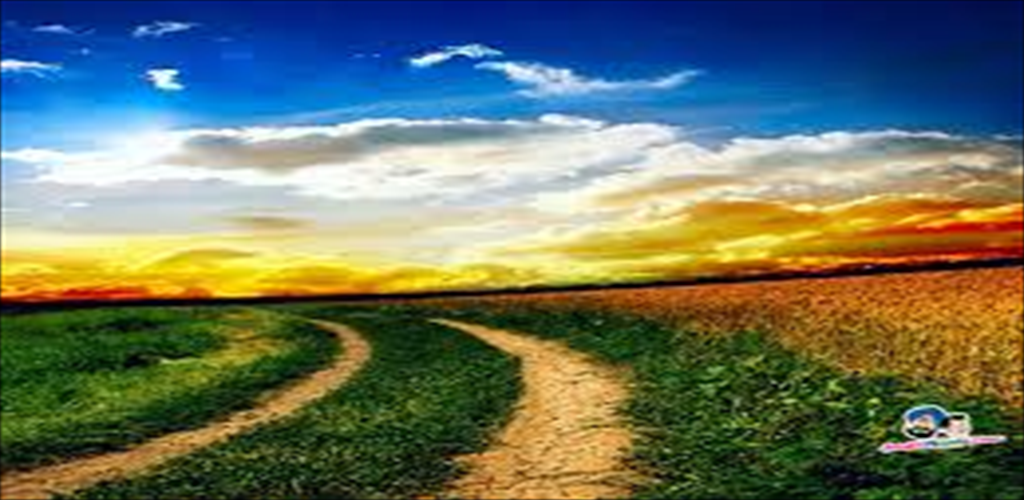 Amazon Landscape Background