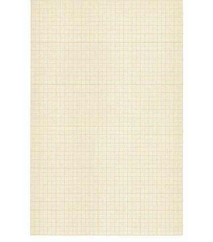 Prüfungspapier Einzelblatt Millimeterpapier A4 - BSN SPREMBERG - Fach