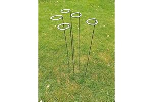 BESPOKE PLANT SUPPORTS LIMITED Metal Plant Supports Loop Stakes 5 pack 80cm, 100cm or 130cm tall (100cm)