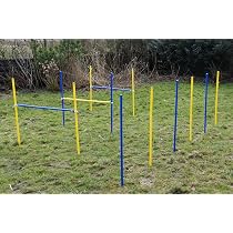 Agility-Hürden & Slalomstangen-Set – 6+2 Stangen, Blau/rot, PE-Kunststoff, Bis 95 Cm Höhenverstellbar