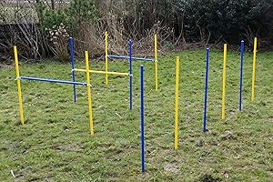 WUZZMANN TRADING AGILITY-ÜBUNGS-HÜRDEN/SLALOM-STANGEN-SET IN BLAU/GELB