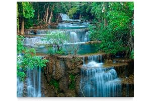 WALLPAPER Fotomurale murando Carta da parati 300x231 cm TNT Murale alla moda Decorazione da Muro XXL Poster Gigante Design Carta per pareti Natura 100403-155