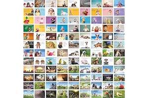 ‎CLEVER POOL Clever Pool Postcards Set of 108 – Greeting Cards with Cheeky Motifs – Strong Sayings – Postcards for Gifting – Versatile Set – High Quality – Beautiful Colours – DIN A6