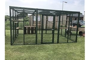 4WIRE Cat Run PVC Green 8ft x 12ft Large Catio Cat Plan Pen Shelves …