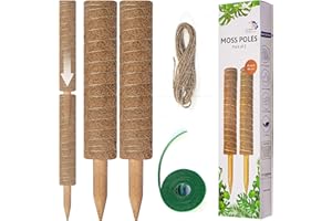 GLOBAL TECH PACK 2 Pcs Sturdy Moss Pole for Monstera - 41cm / 16 inches. Stackable Plant Supports For Indoor Plants With 200cm Twist-Tie and Jute Rope. Grow Indoor Plants Upright. Save Your Plant From Breaking.