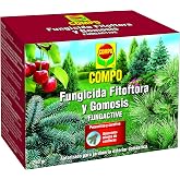 COMPO Fungicide Phytophthora and Gomosis, Preventive and Curative, Suitable | Preventive and curative treatment against phyto