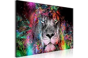 murando Akustikbild Löwe Bilder Akustikschaum Hochleistungsschallabsorber Schallschutz Leinwand 1 tlg Wandbild Raumakustik Schalldämmung Tiere Abstrakt Gesicht g-C-0311-b-a