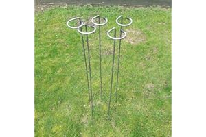 BESPOKE PLANT SUPPORTS LIMITED Metal Plant Supports Loop Stakes 5 pack 80cm, 100cm or 130cm tall (80cm)