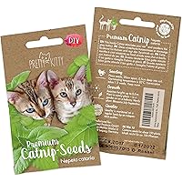 PRETTY KITTY Samen für Katzen Premium Katzenminze