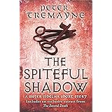 The Spiteful Shadow (A Sister Fidelma e-novella)