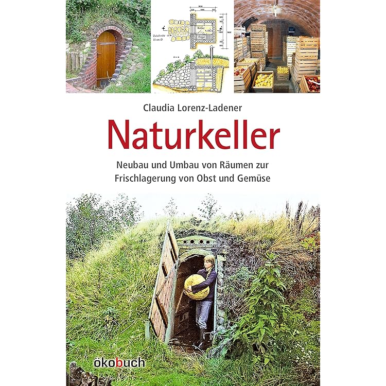 Holzbacköfen Im Garten - ökobuch Verlag GmbH