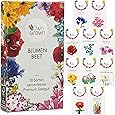 Blumen Samen für Garten und Balkon: 10 Sorten Premium Blumensamen Tütchen als Pflanzensamen Set – Balkonblumen Samen – Wildblumensamen Saatgut Balkon und Samen Garten – Blumensamen Balkon von OwnGrown