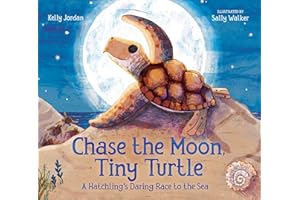 Chase the Moon, Tiny Turtle: A Hatchling's Daring Race to the Sea