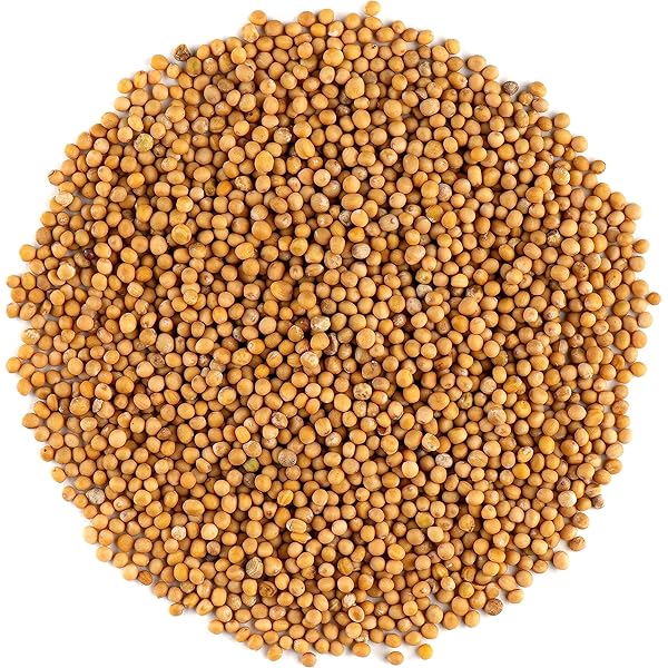 The Mustard Seeds ☆III Black Mustard Seeds Whole Organic - Brown Mustard Seed Spicy