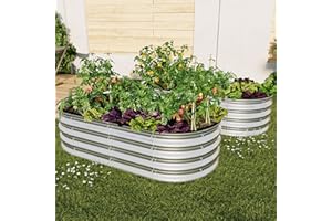 VERFARM Galvanized Raised Garden Bed Kit, Raised Garden Boxes Outdoor, Oval Metal Raised Beds for Vegetables, Flowers, Herbs, Silver (4x2x1 ft) 2Pcs