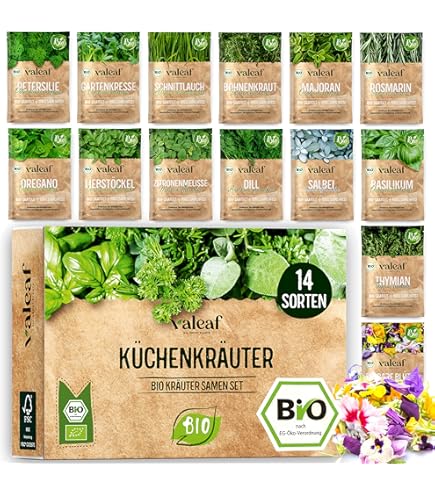 100 pcs Glcksfeder Samen kruterlinge pflanzensamen Zamioculcas zamiifolia  kchenkruter plant exotische pflanzen kruter pflanzen dekopflanzen bio  krutersamen winterharte pflanzen : Amazon.de: Garten