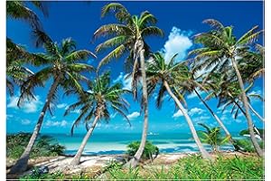 WALLARENA Carta Da Parati Fotografica Spiaggia Palme Mare Paesaggio Tropicale - Include Colla - Moderna Design Carta per Pareti Soggiorno Camera Da Letto Sala Fotomurali In Tessuto Non Tessuto TNT (254x184 cm)