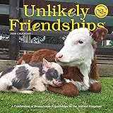 Unlikely Friendships Wall Calendar 2020