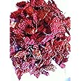 The Hot Pepper Company - Ghost/Bhut Jolokia Dried Pods (x 10 Chillies)