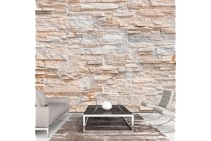 decomonkey - Papier Peint Intissé Mur de Pierre 350x256 cm - Panoramique Image XXL Maison Chambre Déco Photo Murale Décorative Tenture Murale pour Appartement Décoration Salon
