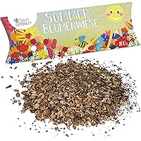 Sommer Blumenwiese Samen: 100g Premium Sommerblumen Samen für bunte Blumenwiese - Bienenwiese Blumenmischung…