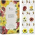 Sonnenblumen Samen Set: Premium Sonnenblumen Saatgut mit 6 Sorten schöner Sommerblumen Samen - Garten Geschenk Anzuchtset - Blumen für Bienen - Blumensamen Sonnenblumen - Saatgut Blumen von OwnGrown