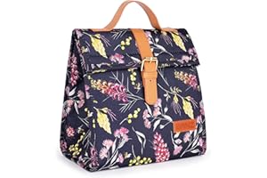 Banz Borsa termica da picnic, isolata, a prova di perdite, pieghevole, ideale per portare la famiglia ai picnic, in spiaggia o in viaggio a qualsiasi evento all'aperto