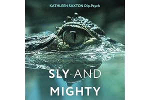 Sly and Mighty: How to Recognize, Resist and Rise Above Toxic Power