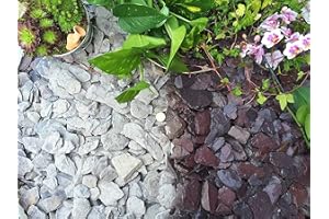 EASY PLANTS 5KG Gravel Chippings Stone Slate Deter Weed Garden Patio Pathway Plant Topping - 40mm Plum Slate