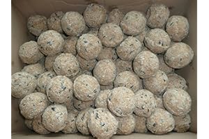 NAZUSA 200 x 90g Meisenknödel ohne Netz Wildvogelfutter Ganzjahresknödel