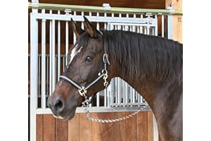 Covalliero, Kerbl Mustang-Cavezza per Cavallo, Taglia 1, Colore: Nero/Argento Unisex-Adulto