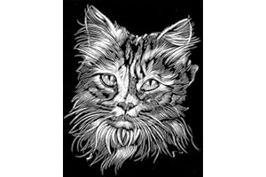 WASO-Hobby - 4er Scrapy Kratzbilder Set - Tier-Mix: 1 Katze, 2 Hunde und 1 Pferd/Silber *Groß*