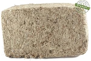 SPHAGNUM-SHOP.COM Sphagnum Mech 5000 g do storczyków, ziemi do kwiatów i terrarium z Chile