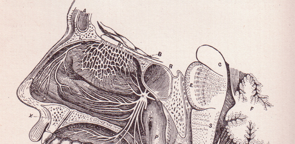 USMLE Step 2 CK Flashcards Lite Amazon.co.uk Appstore for Android