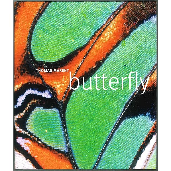 Buy Butterflies of the World Book Online at Low Prices in India